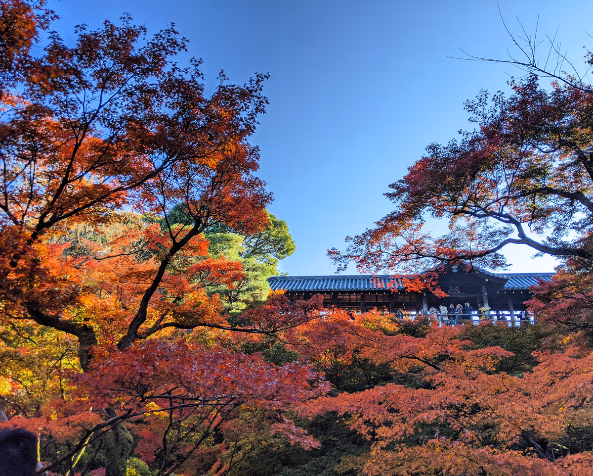 投稿写真：東福寺