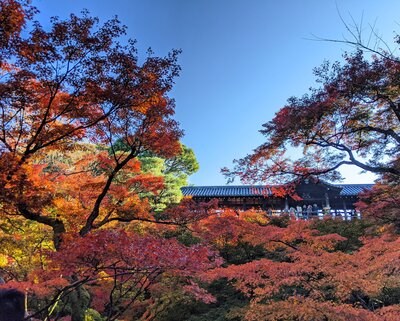  | 絶景事典