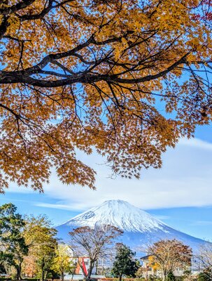  | 絶景事典