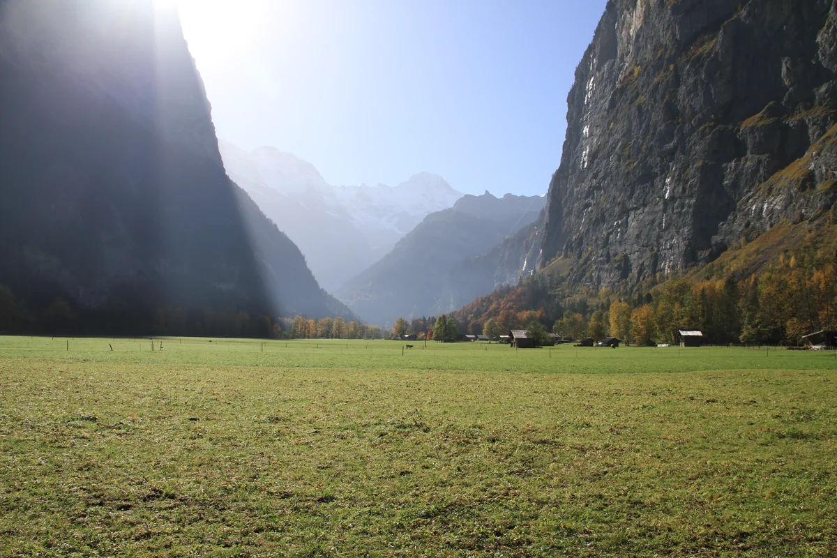 投稿写真：一時の光