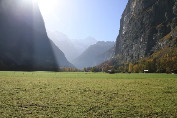 投稿：一時の光