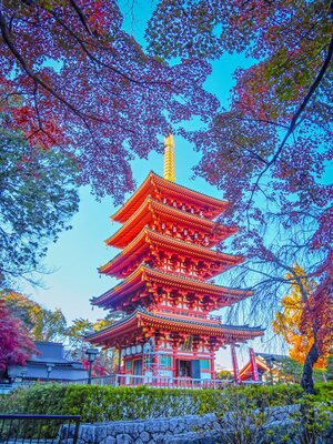  | 絶景事典