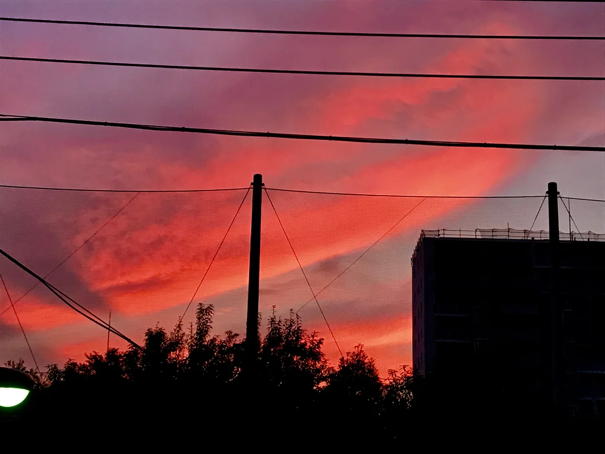 投稿写真：トワイライト