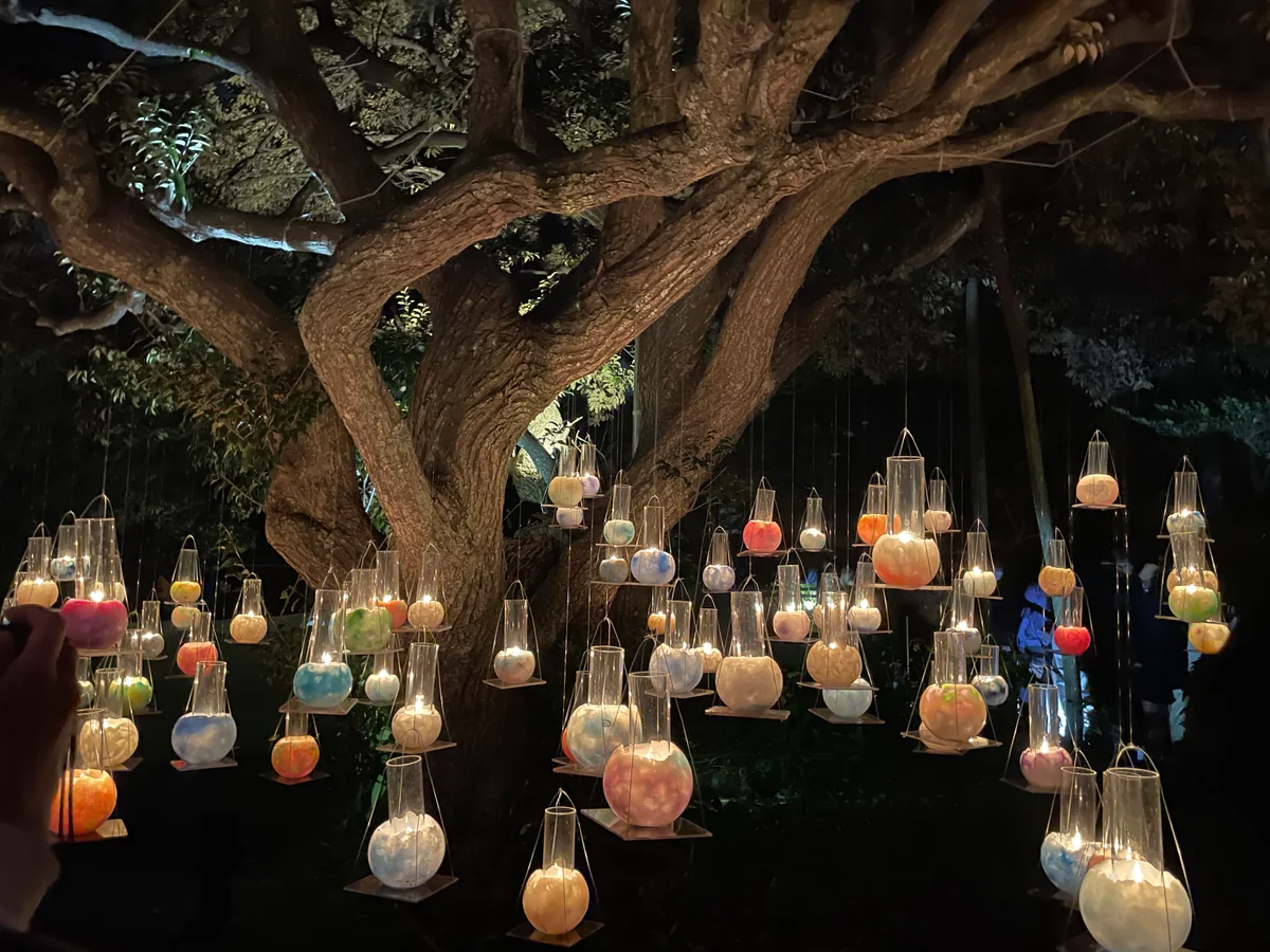 投稿写真：江の島キャンドルイベント♪