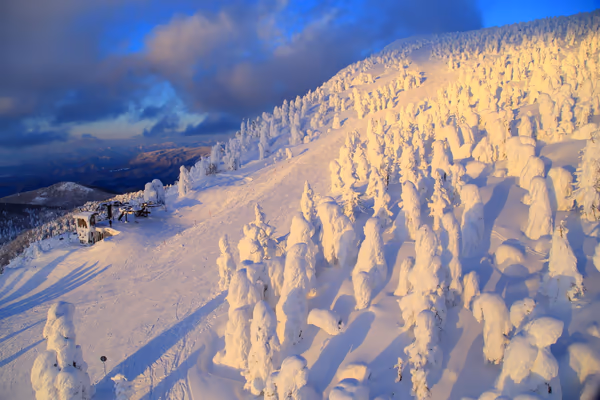 投稿：夕日を浴びる山形蔵王の樹氷