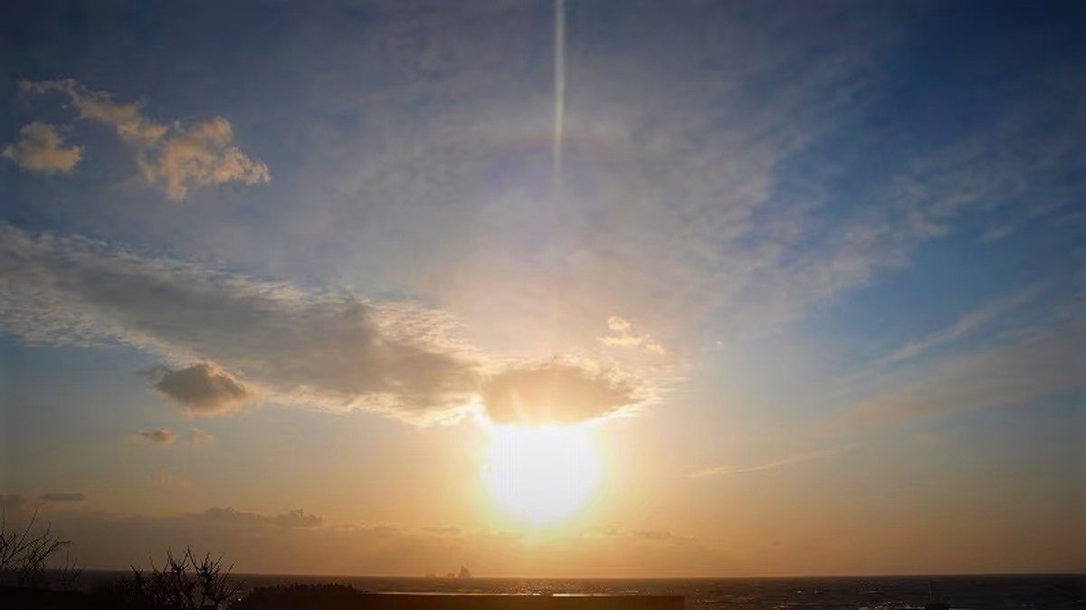 投稿写真：春の訪れ
