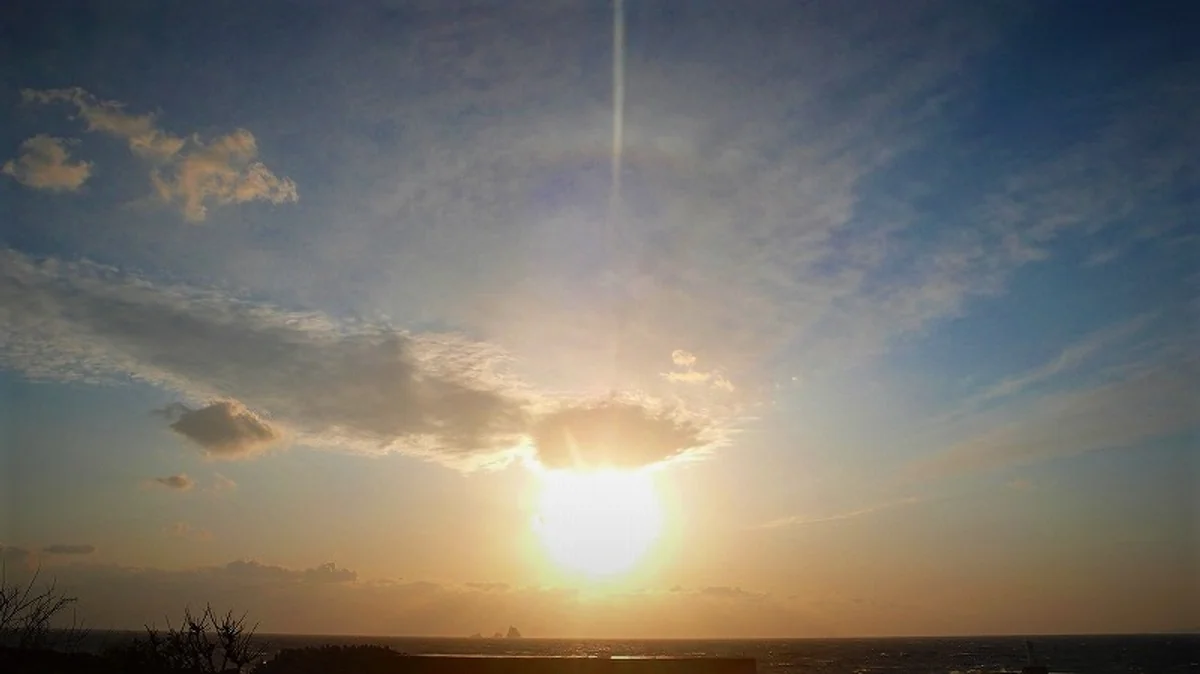 投稿写真：春の訪れ