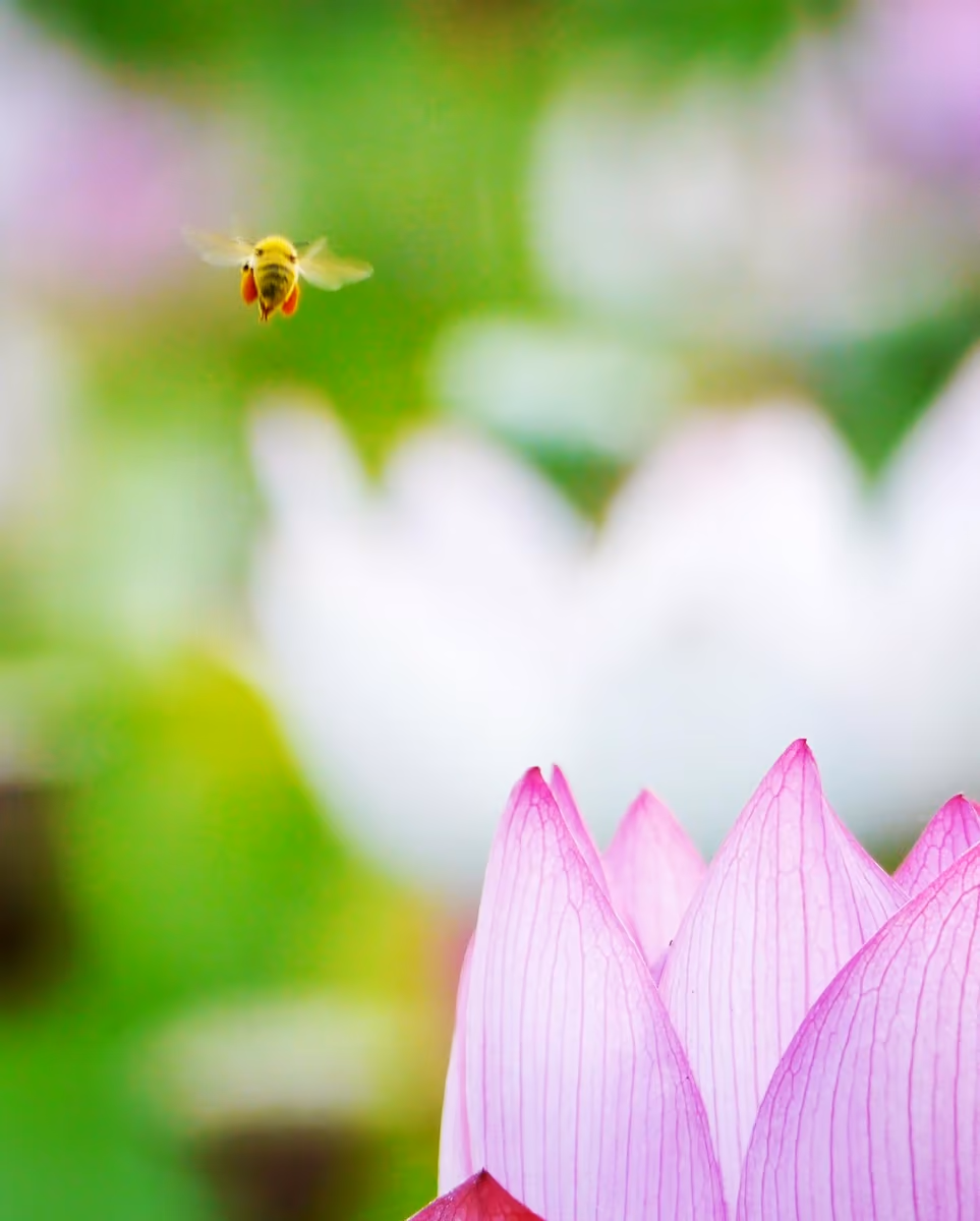 投稿写真：小さな命がまた別の新しい命を紡ぐ、愛おしい小さな世界
