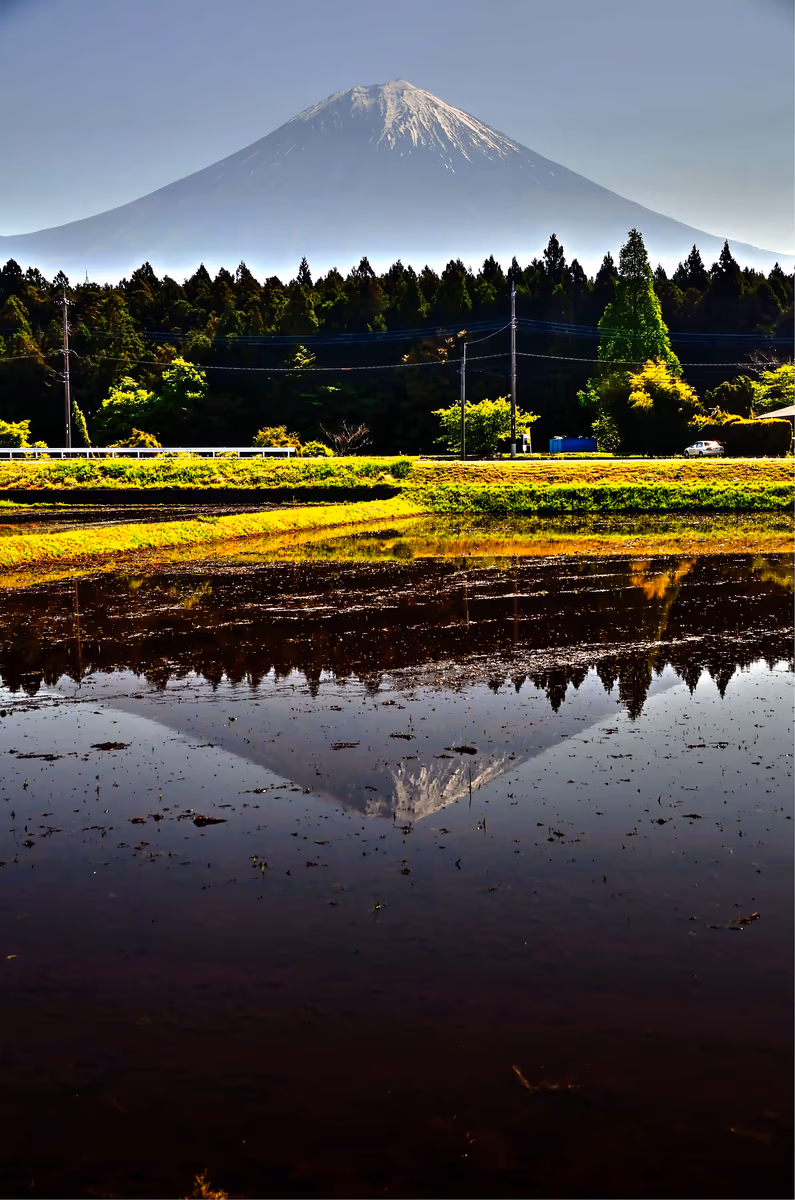 投稿写真：水鏡