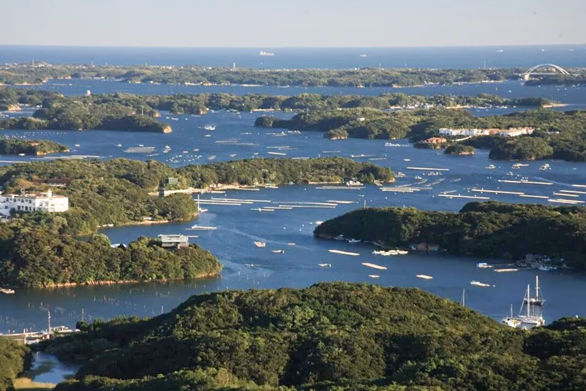 投稿写真：ago bay