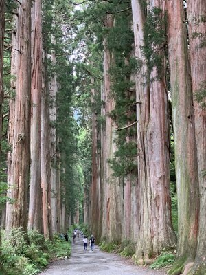  | 絶景事典