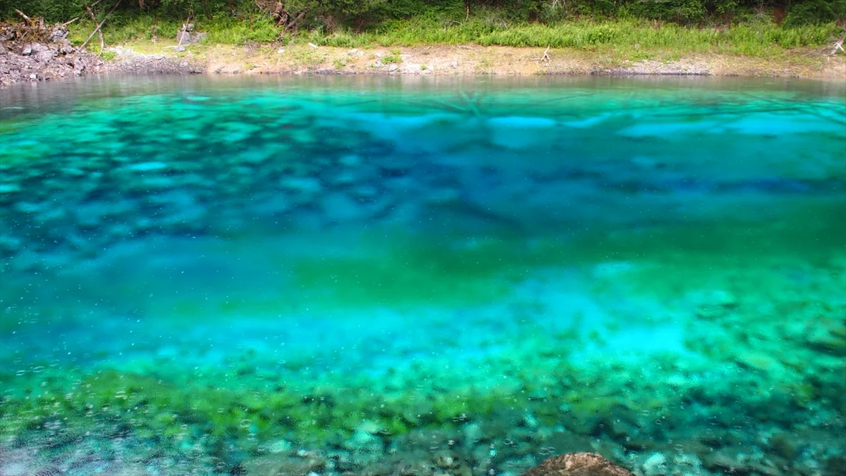 投稿写真：九寨溝＠中国四川省