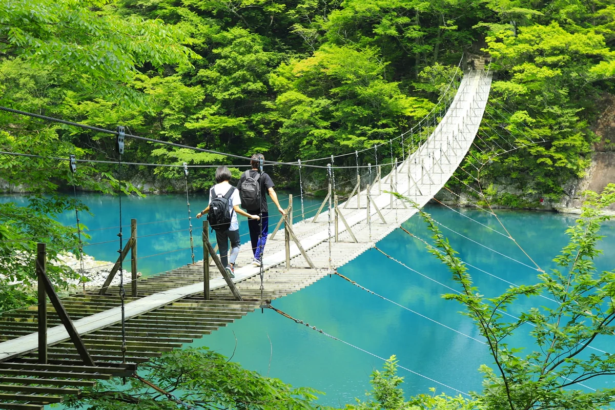 投稿写真：夢の吊り橋
