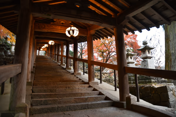 投稿：長谷寺