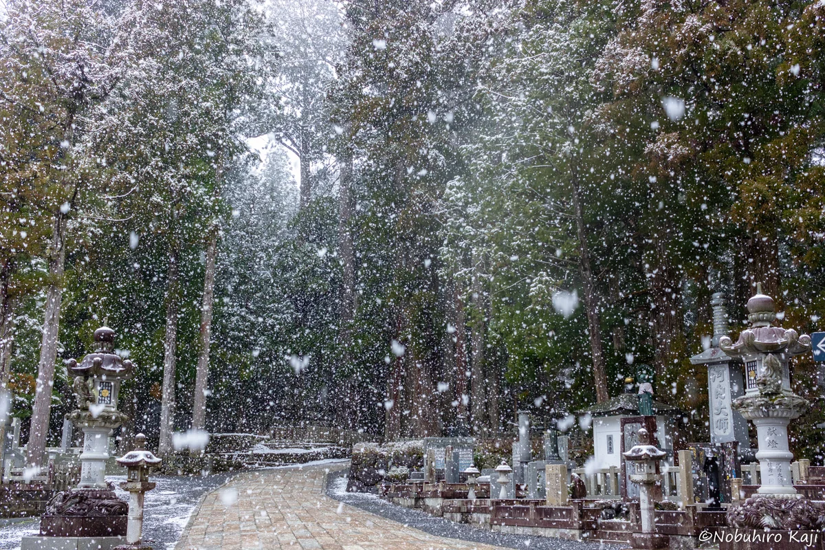 投稿写真：冬の高野山