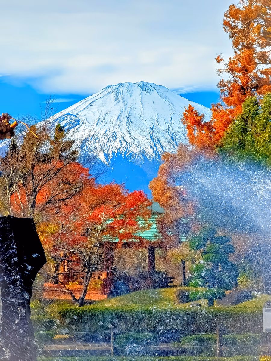 投稿写真：御殿場中央公園の紅葉の風景