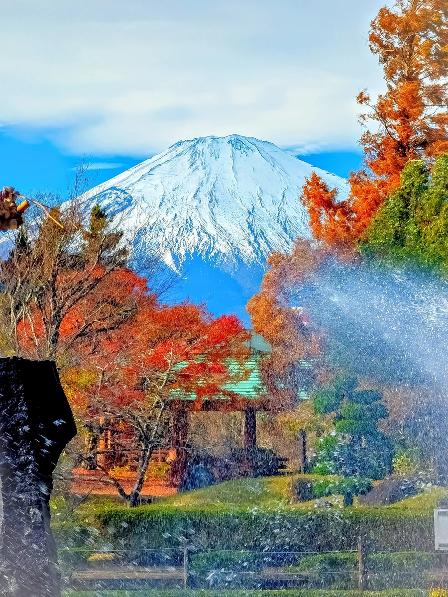 投稿写真：御殿場中央公園の紅葉の風景