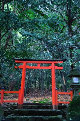  | 絶景事典