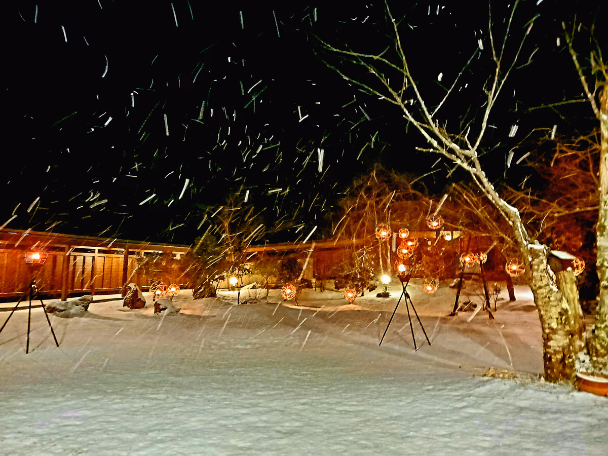 投稿写真：初雪