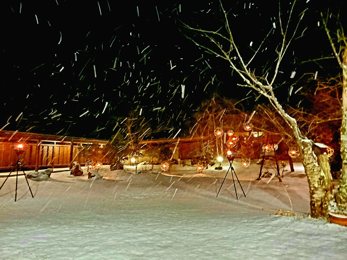 投稿写真：初雪