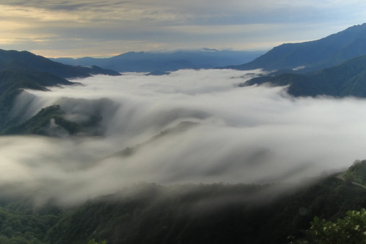 投稿写真：雲の大瀑布・・・枝折峠の滝雲。