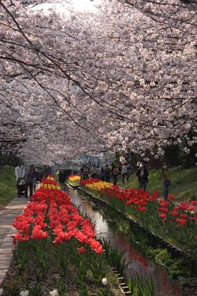 投稿：江川せせらぎ緑道
