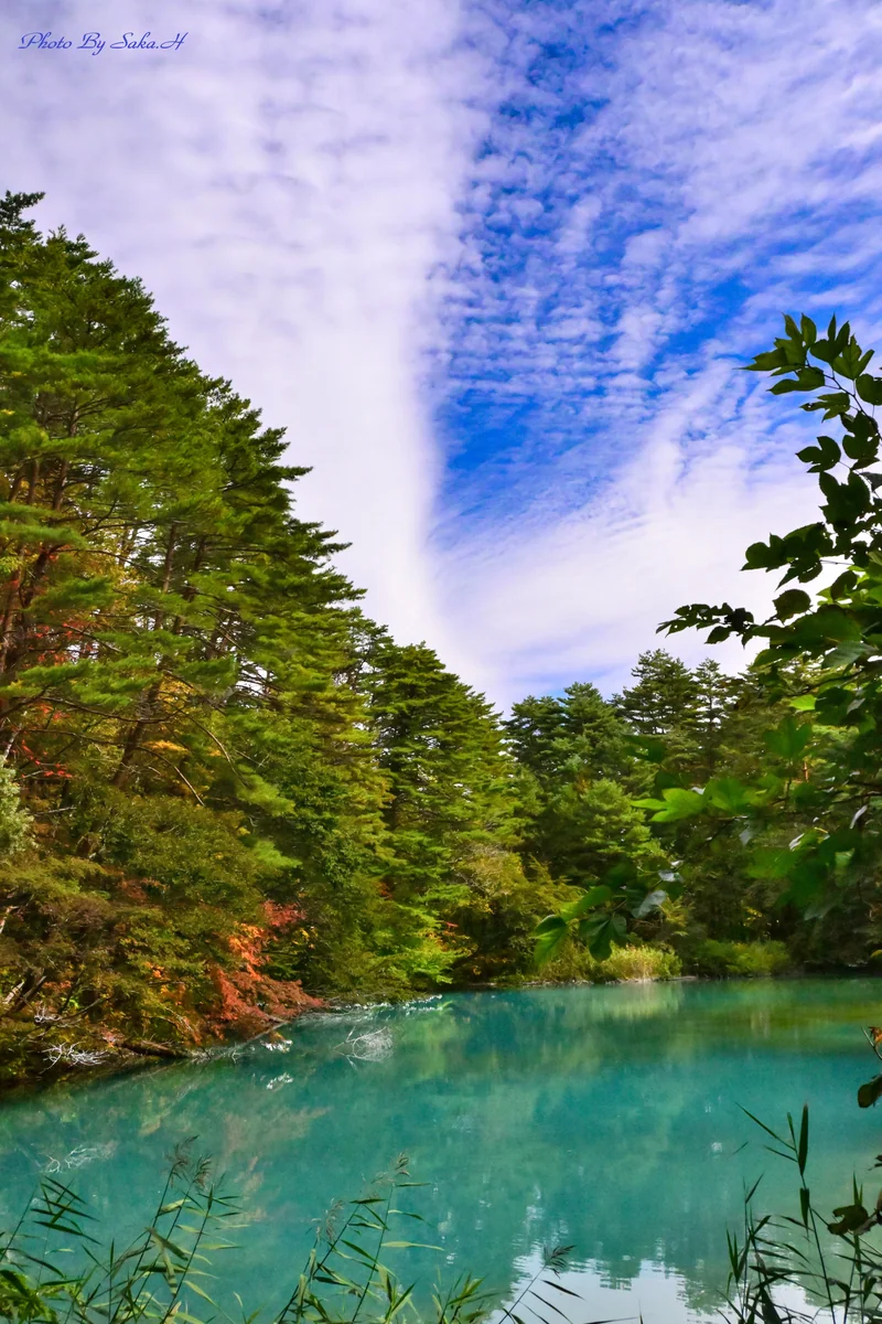 投稿写真：青沼