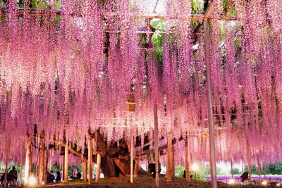  | 絶景事典