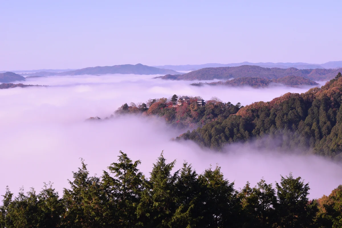 投稿写真：備中松山城