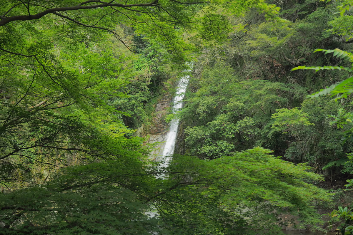 投稿写真：布引の滝　雌滝