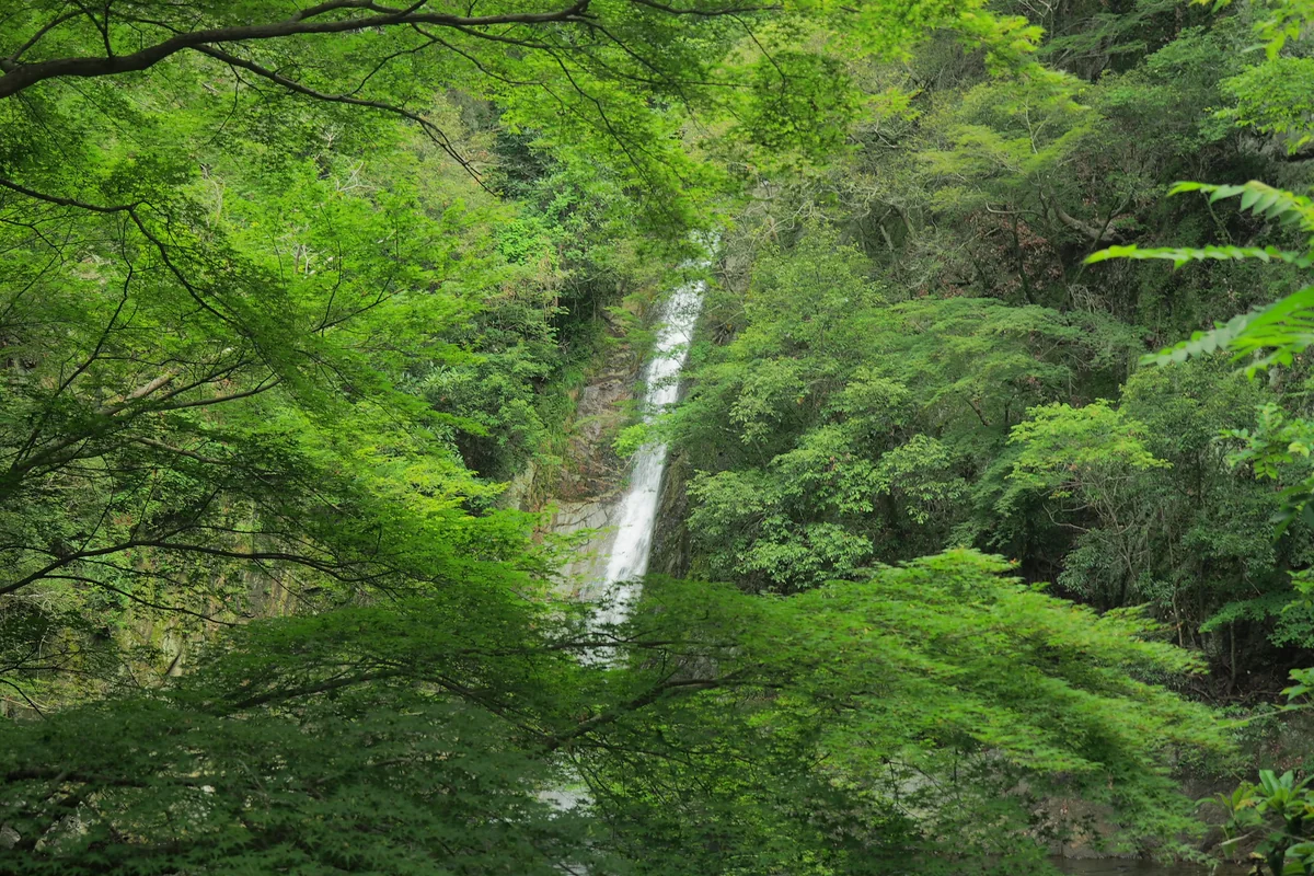 投稿写真：布引の滝　雌滝