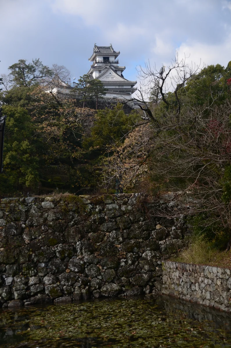 投稿写真：高知城天守閣