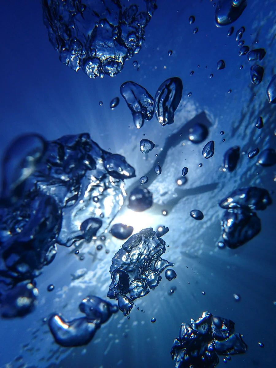 投稿写真：海人