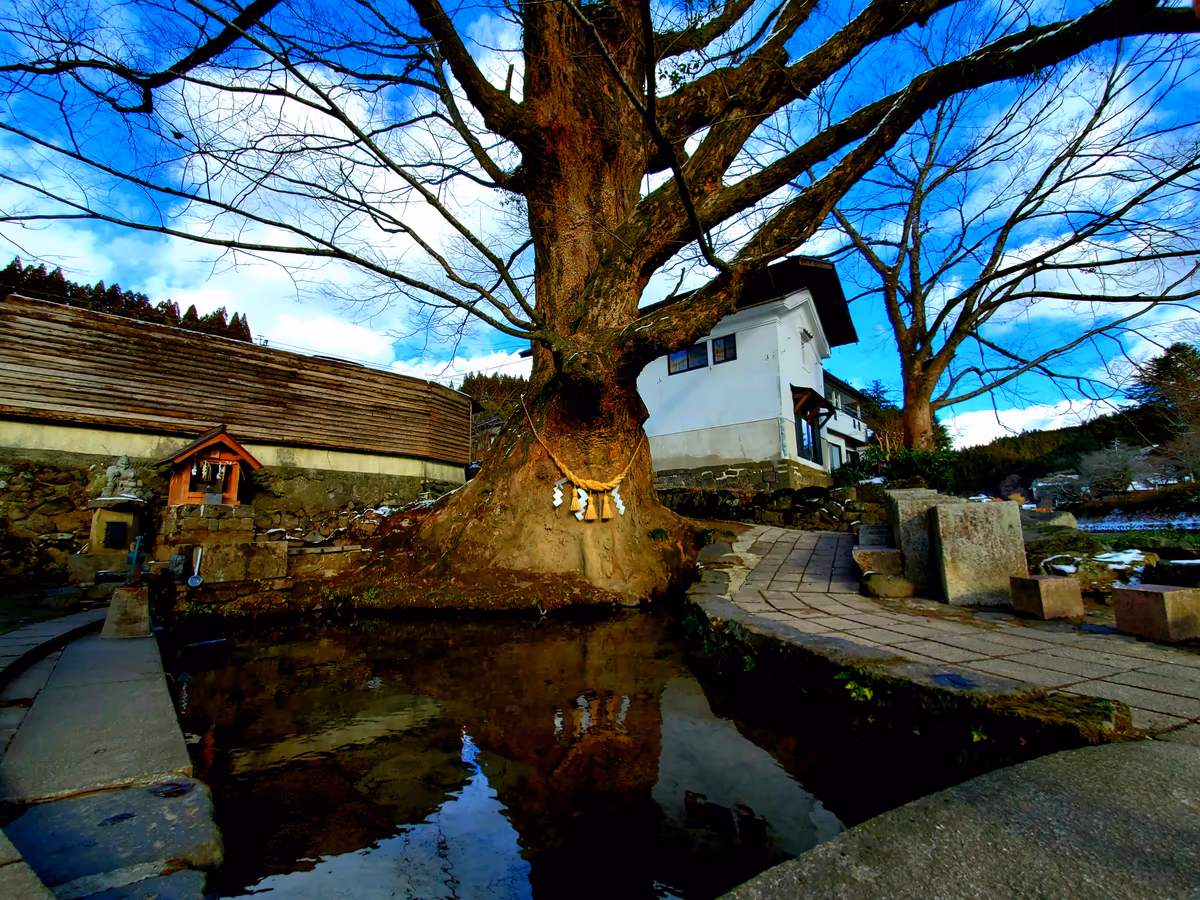 投稿写真：けやき水源