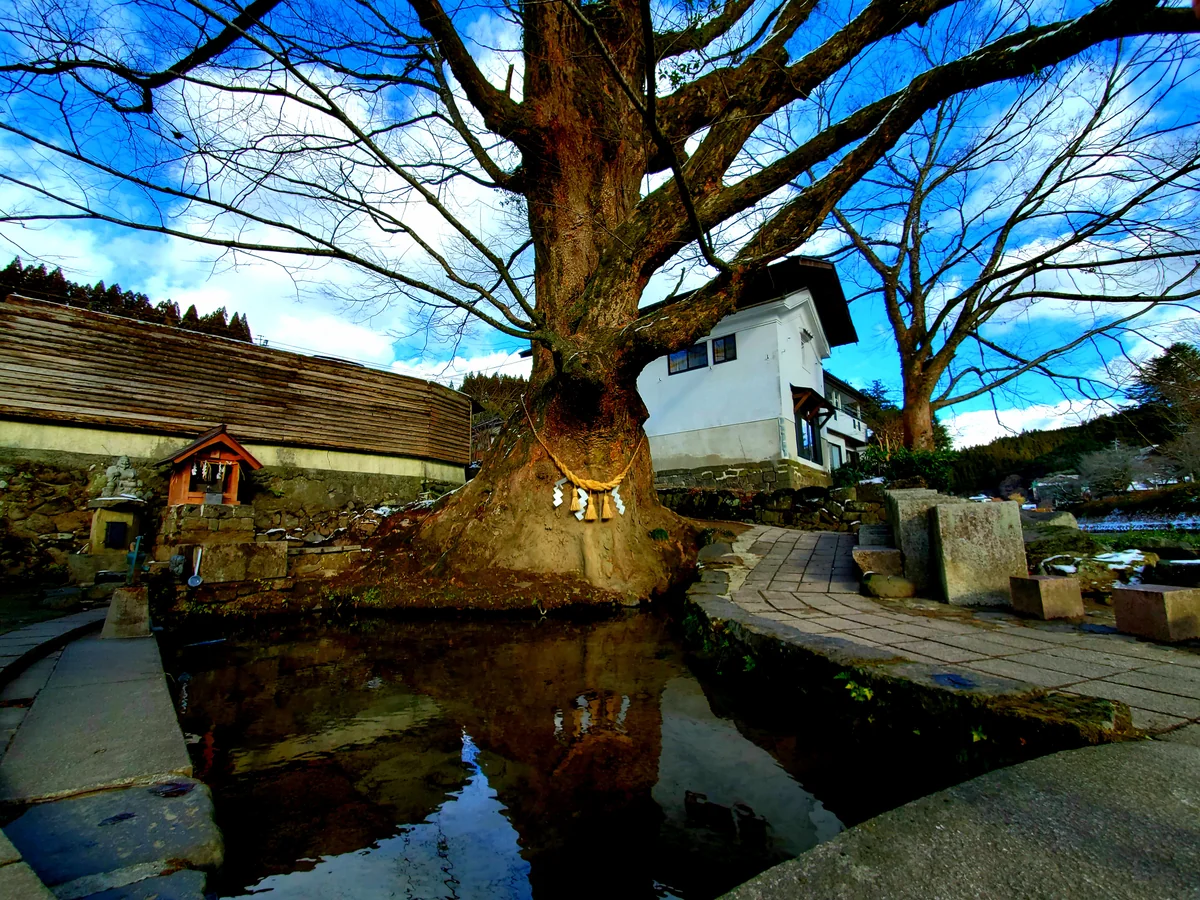 投稿写真：けやき水源