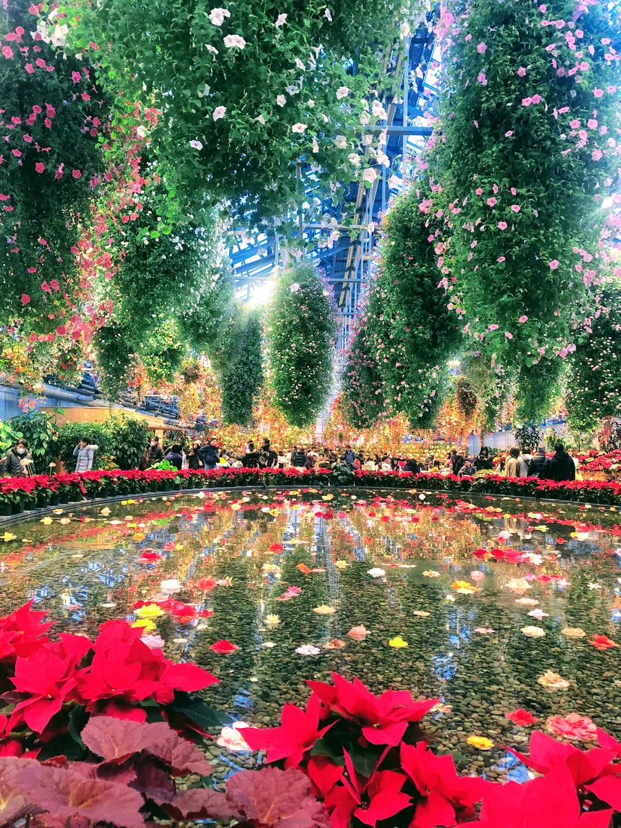 投稿写真：なばなの里