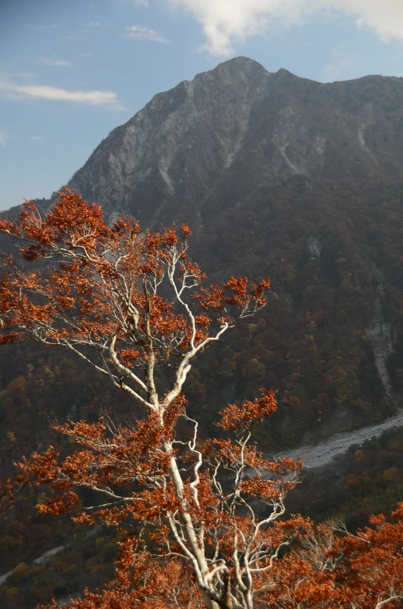 投稿写真：大山　秋色彩々