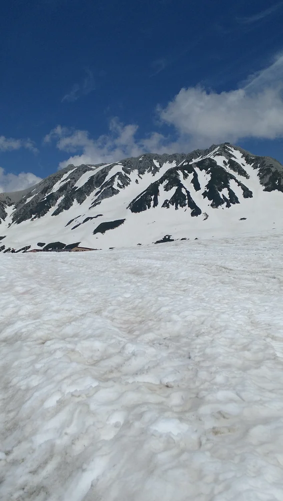 投稿写真：立山