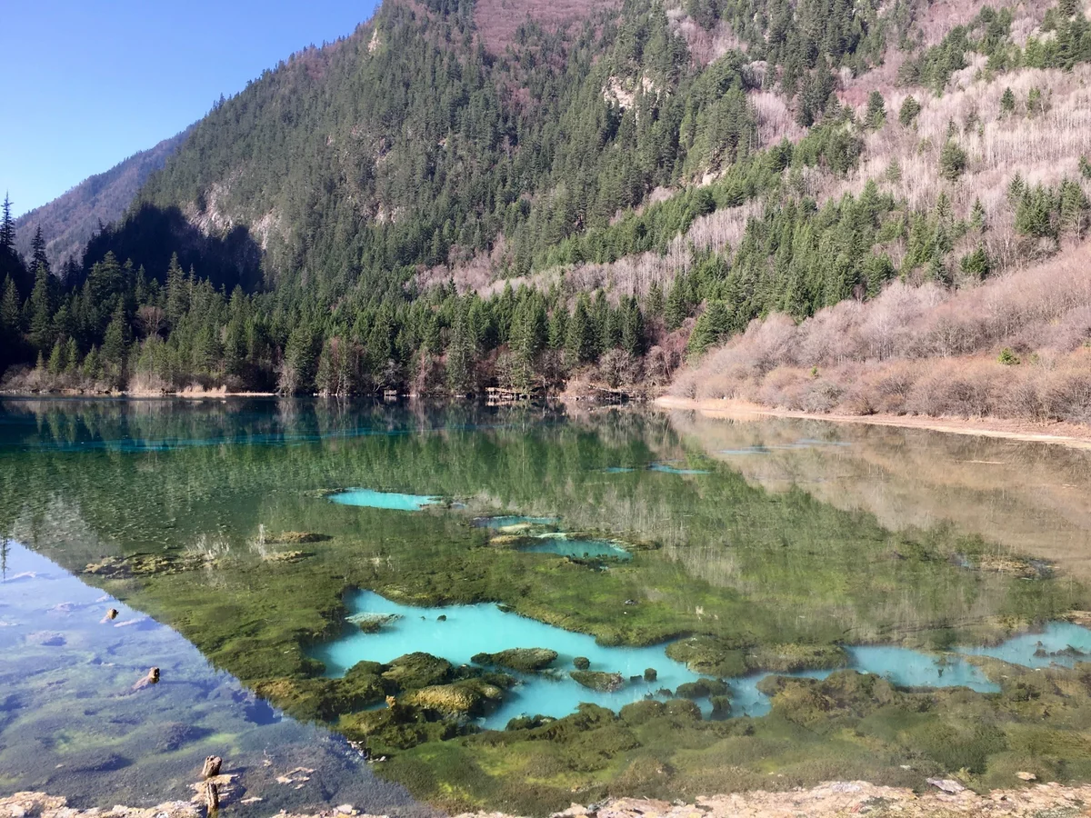 投稿写真：九寨溝