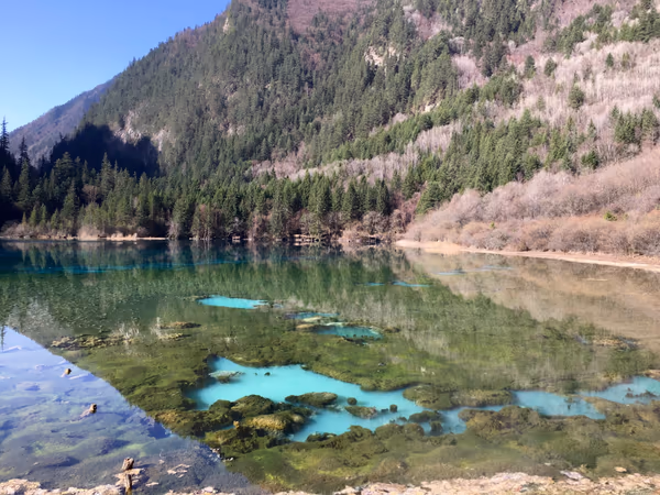 投稿：九寨溝