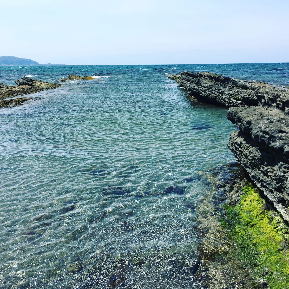 投稿写真：千葉県 沖ノ島