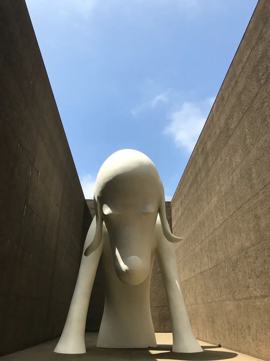 投稿写真：wonderful🎶