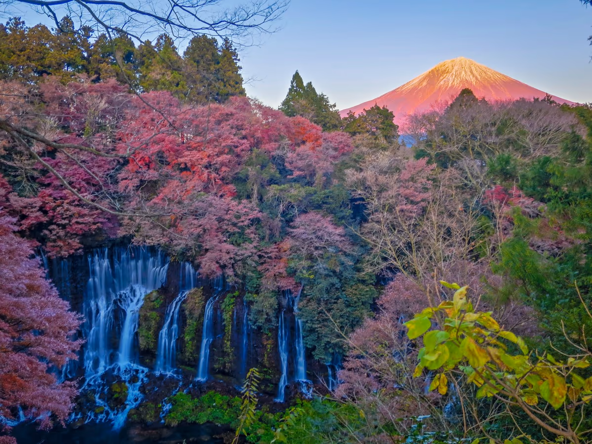 投稿写真：白糸の滝と紅富士