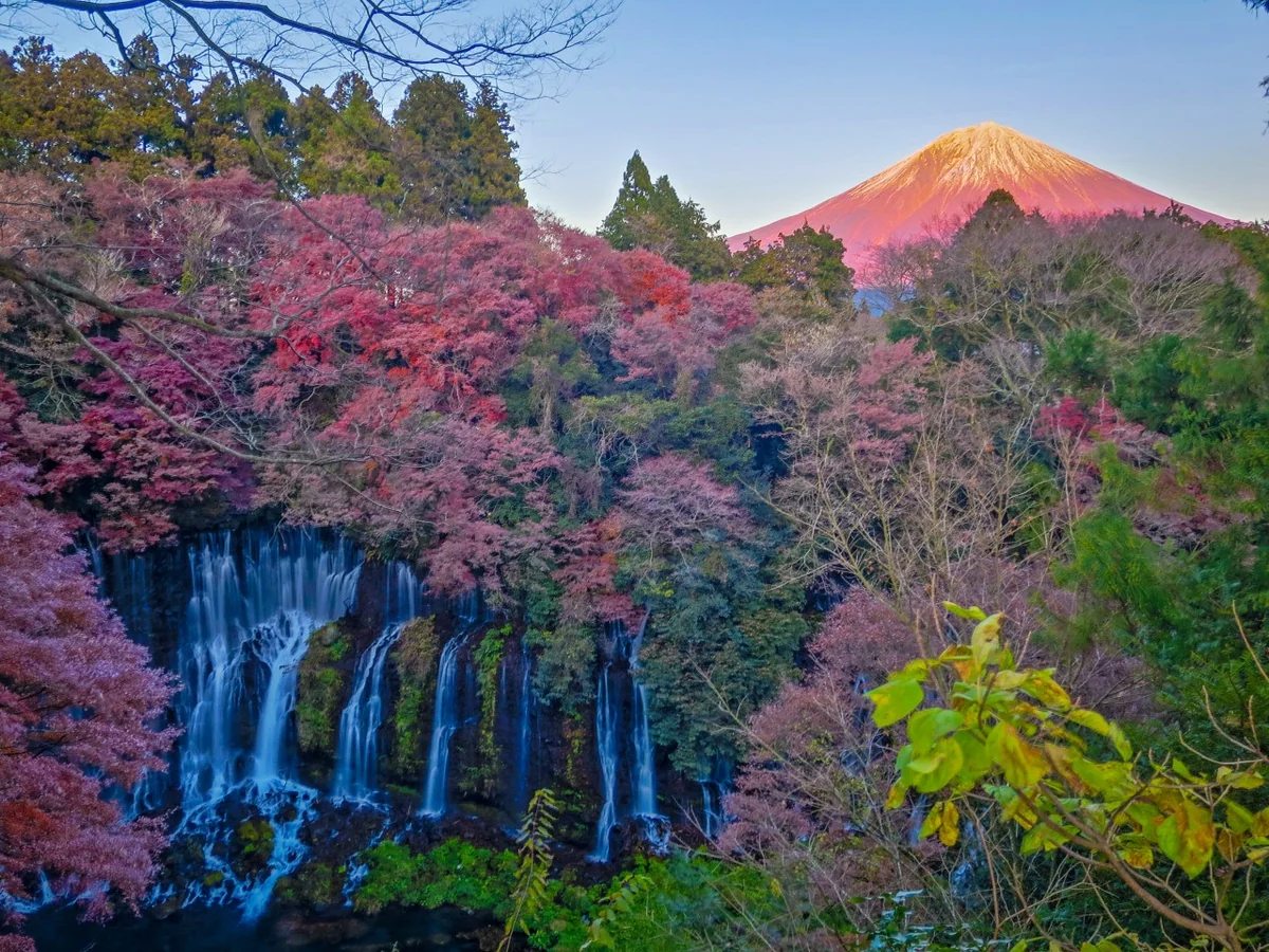 投稿写真：白糸の滝と紅富士