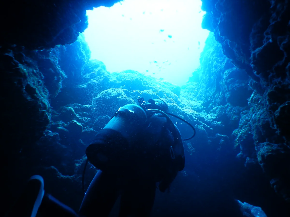 いずみさんの投稿写真