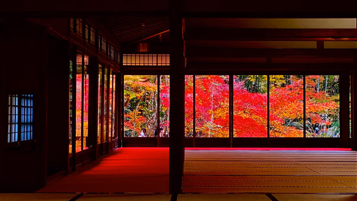投稿写真：額縁庭園