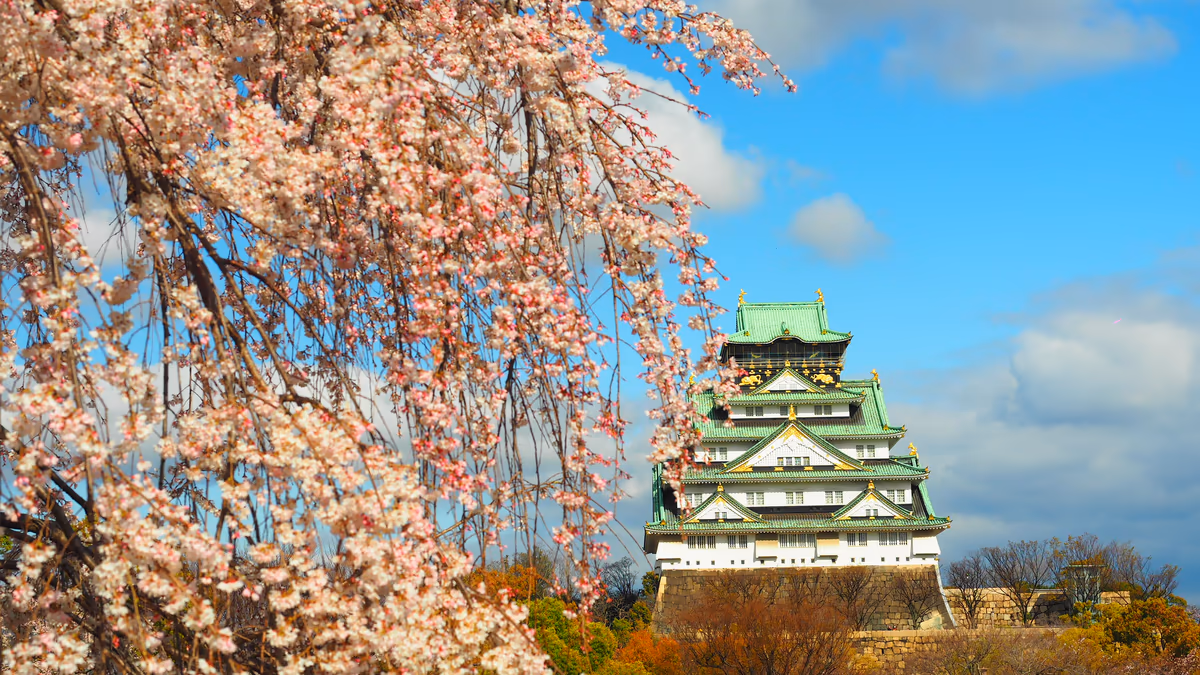 投稿写真：大阪城　桜
