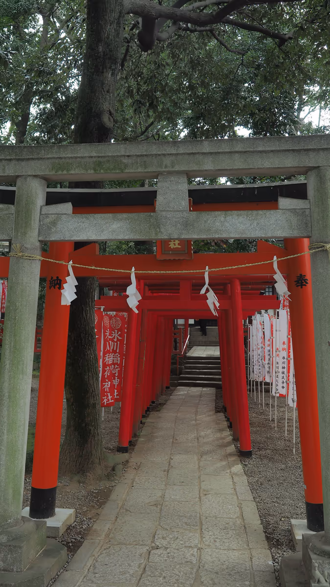 投稿写真：大宮氷川稲荷神社鳥居