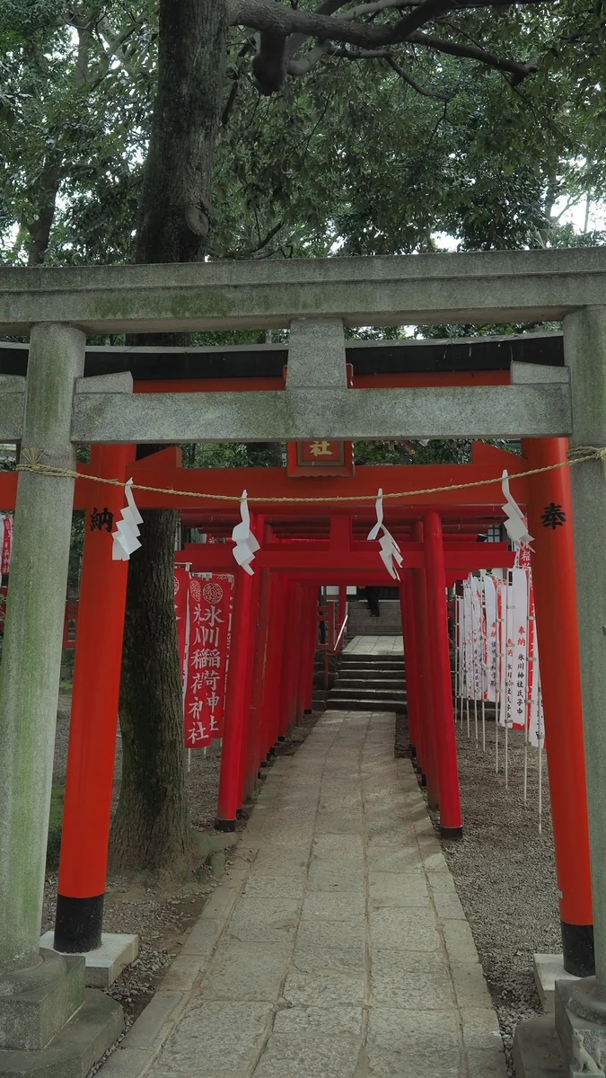 投稿写真：大宮氷川稲荷神社鳥居