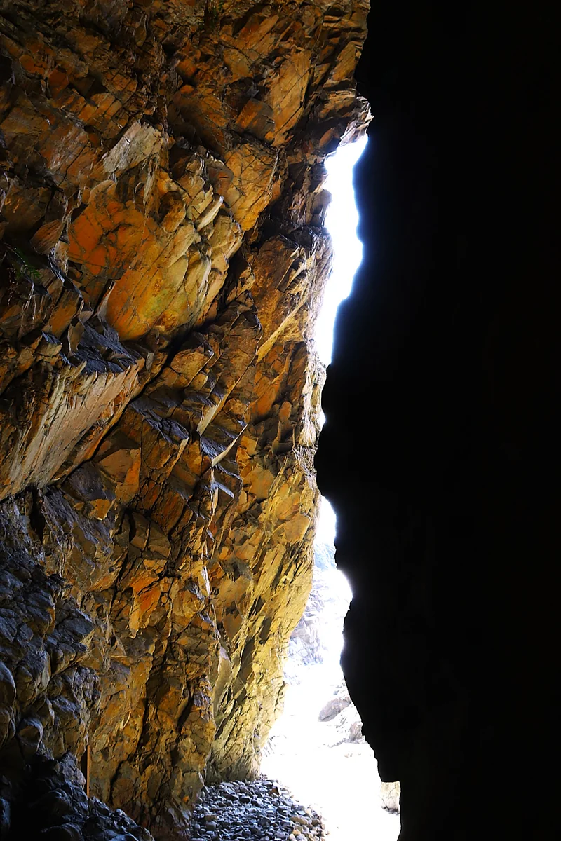 投稿写真：天に昇る白龍